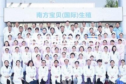 供卵助孕公司
