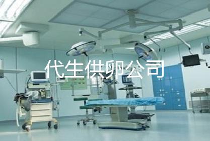 代生供卵公司