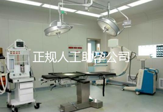 正规人工助孕公司