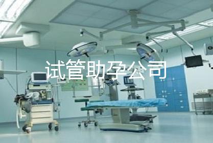试管助孕公司