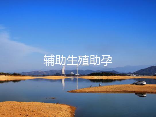 辅助生殖助孕